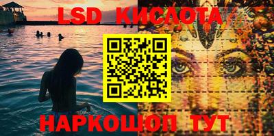 a pvp Славгород
