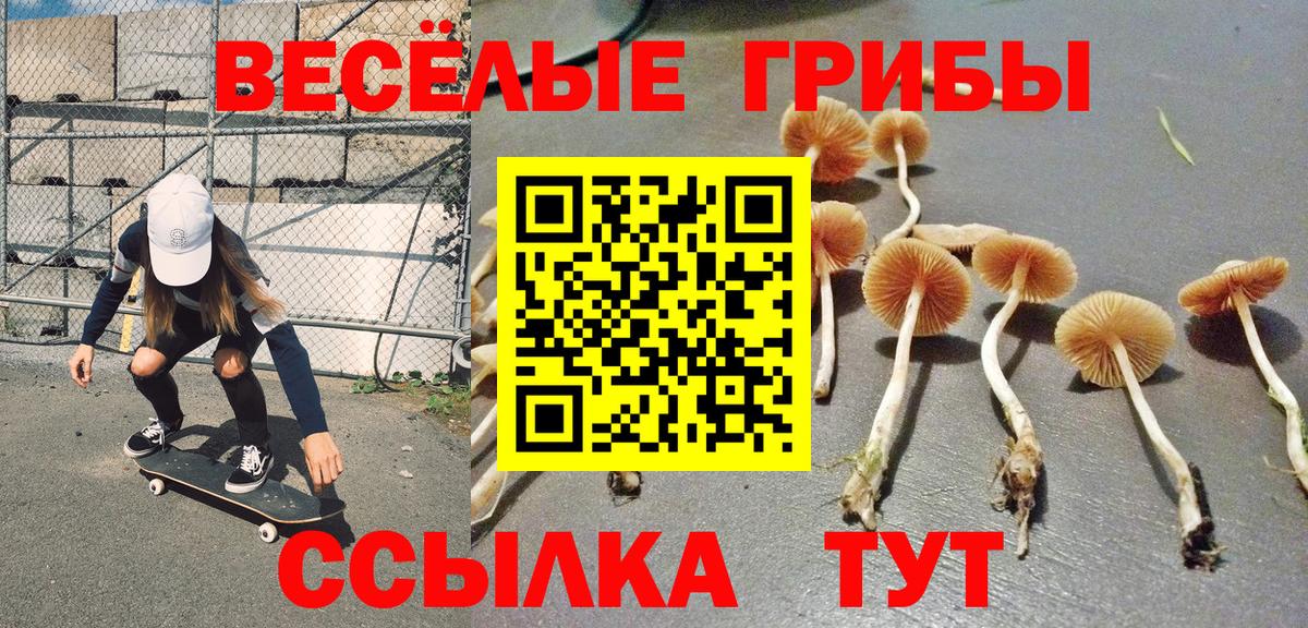 хочу наркоту  Галлюциногенные грибы ЛСД  Вход с VPN  Псилоцибиновые грибы ЛСД  Отрадный 